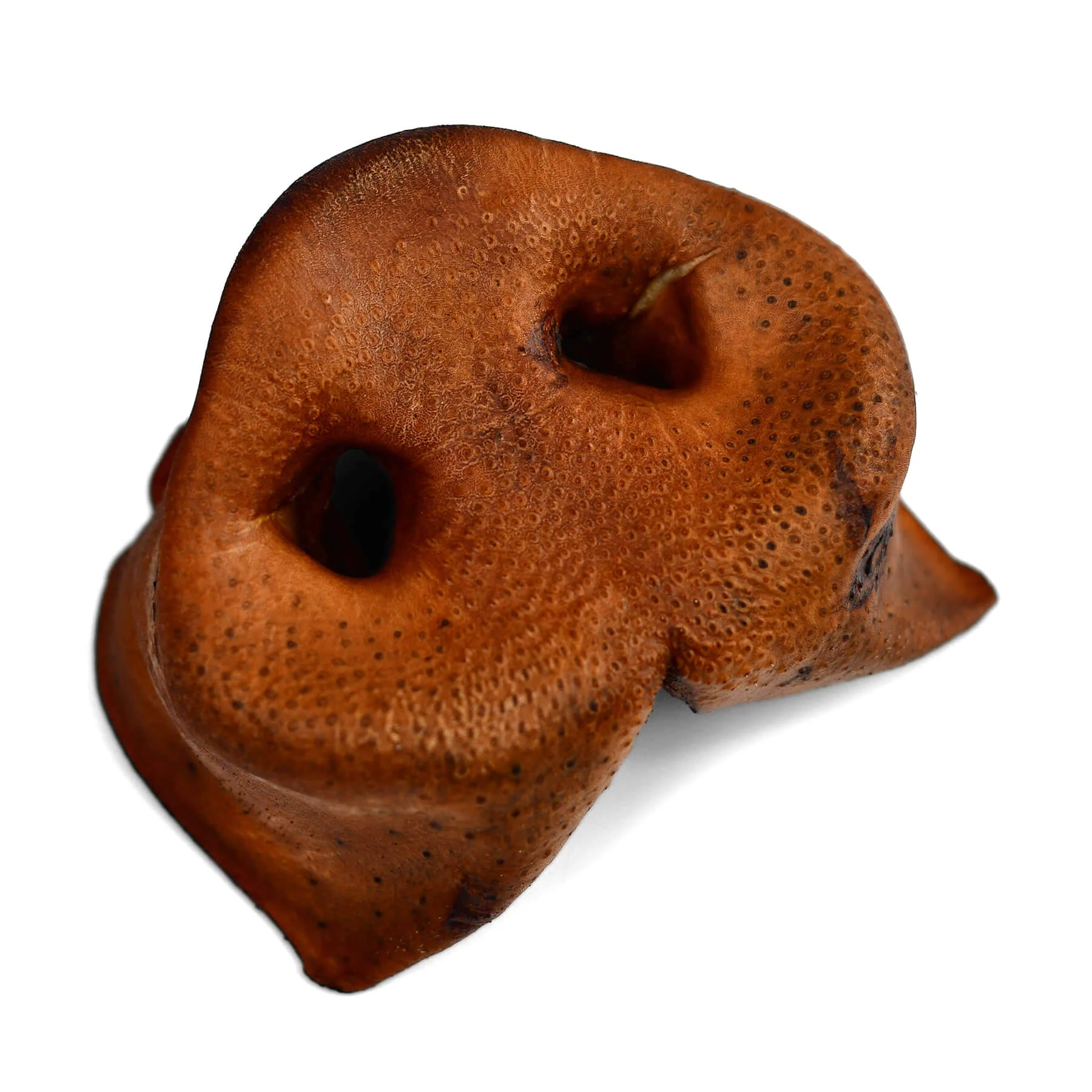 Pork Snouts - Image 2