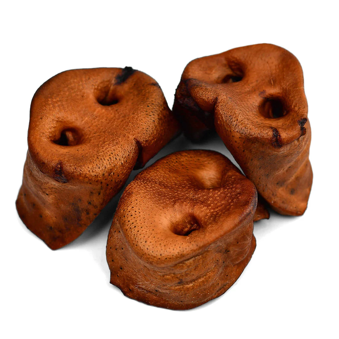 Pork Snouts - Image 3