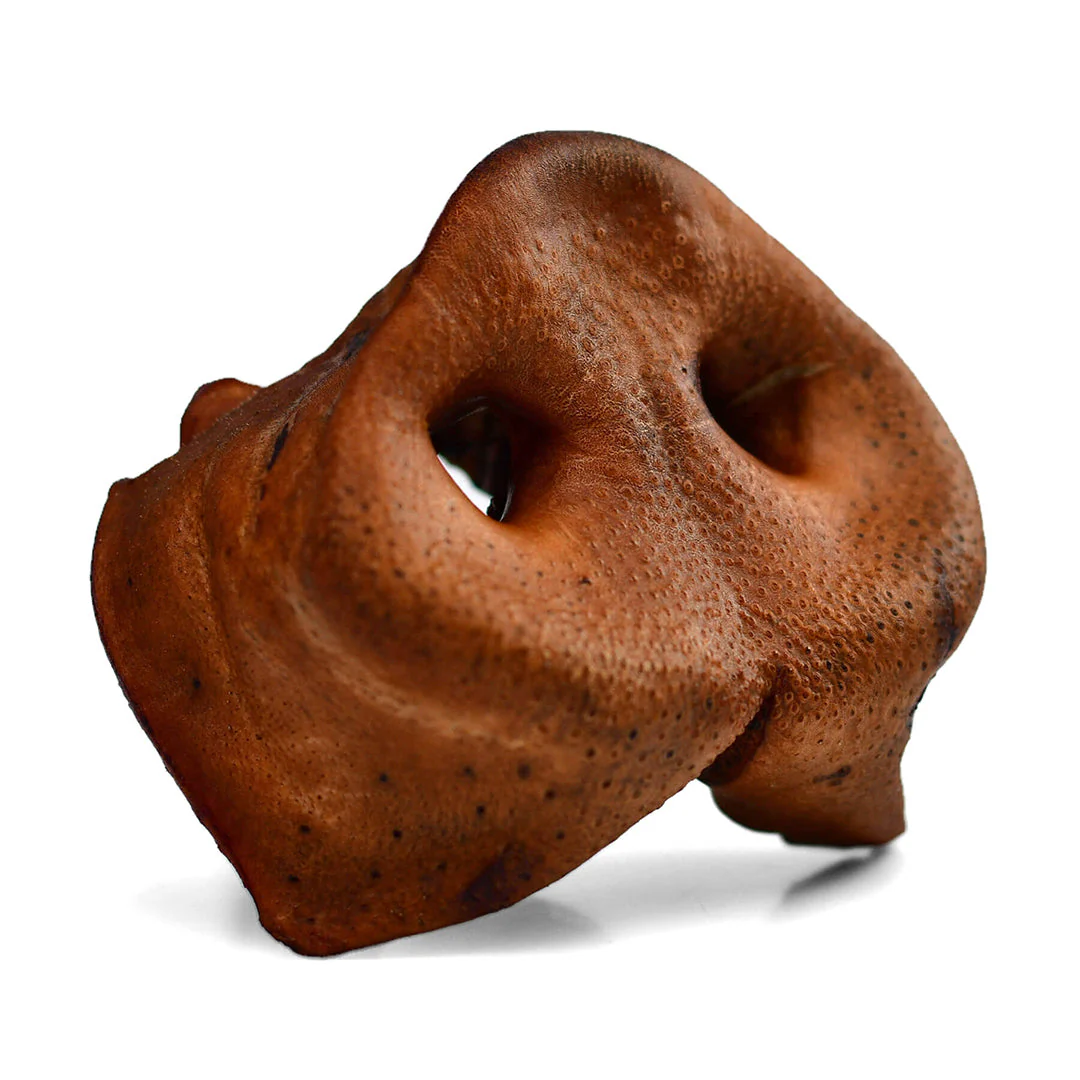 Pork Snouts - Image 4