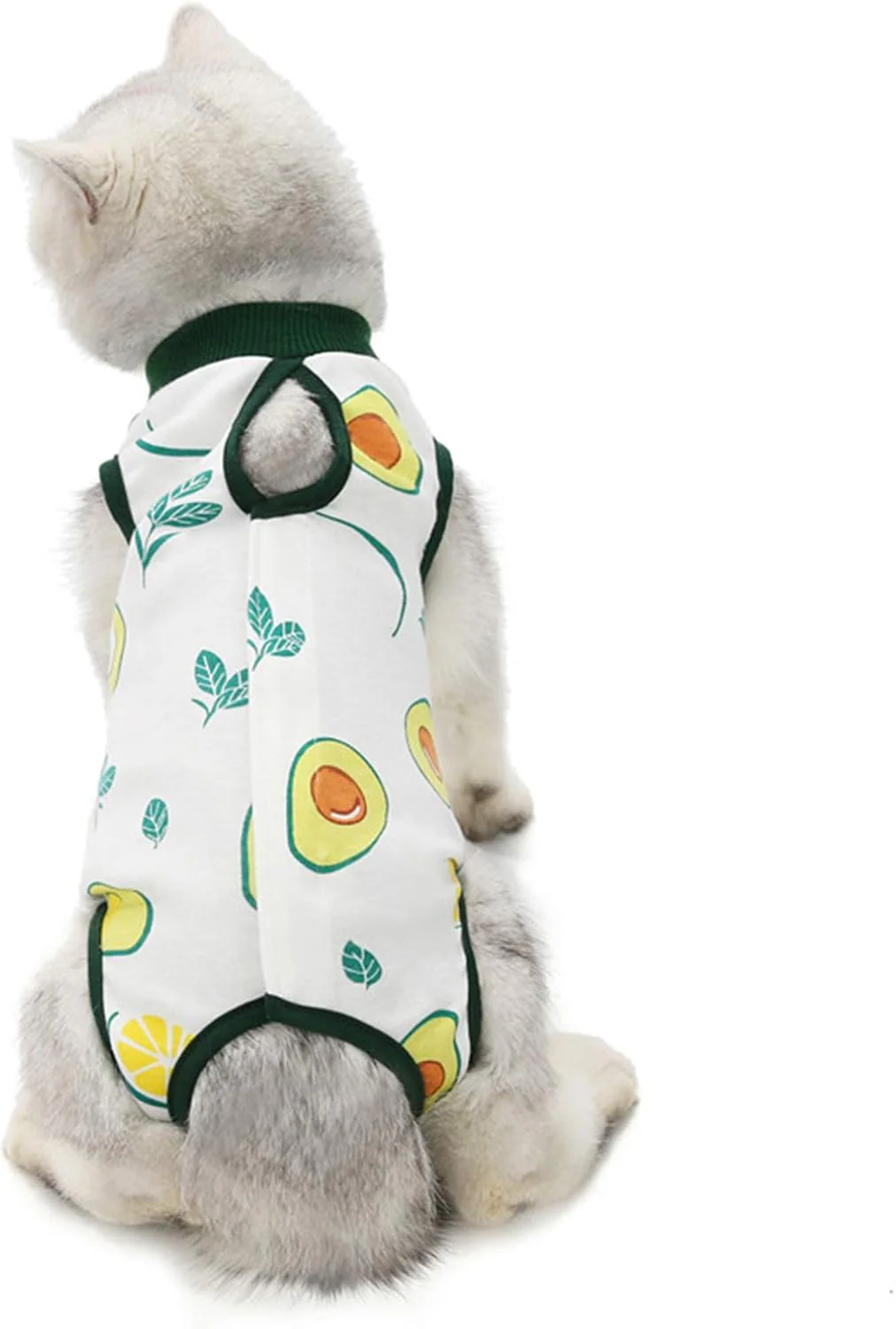 Post-Surgery Dog Recovery Suit - Image 3