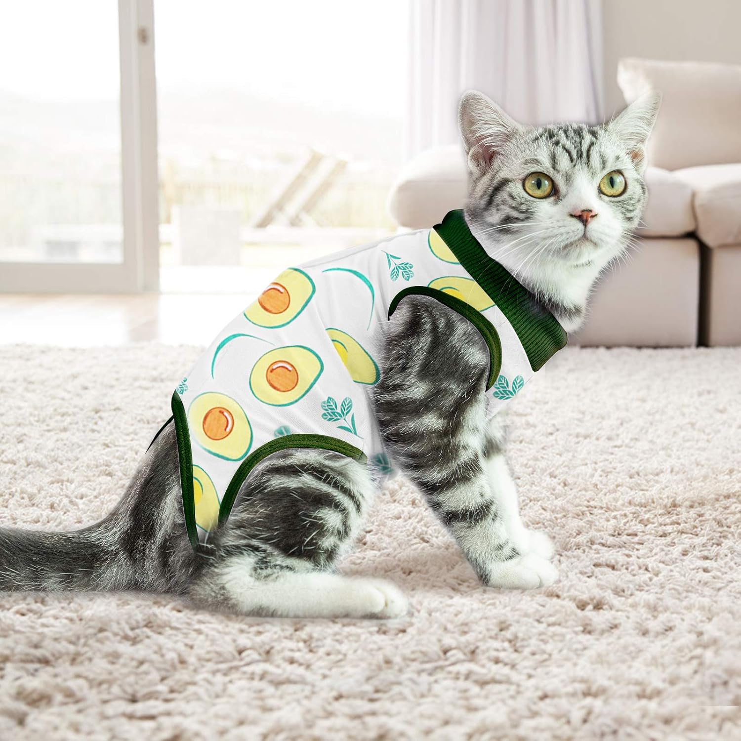 Post-Surgery Dog Recovery Suit - Image 4