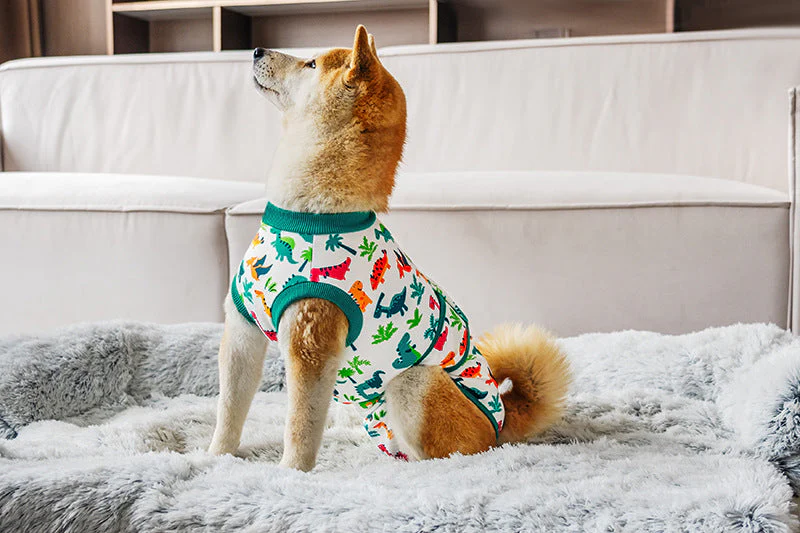Post Surgery Dog Recovery Suit | Comfortable & Stylish Pet Wear - Image 4