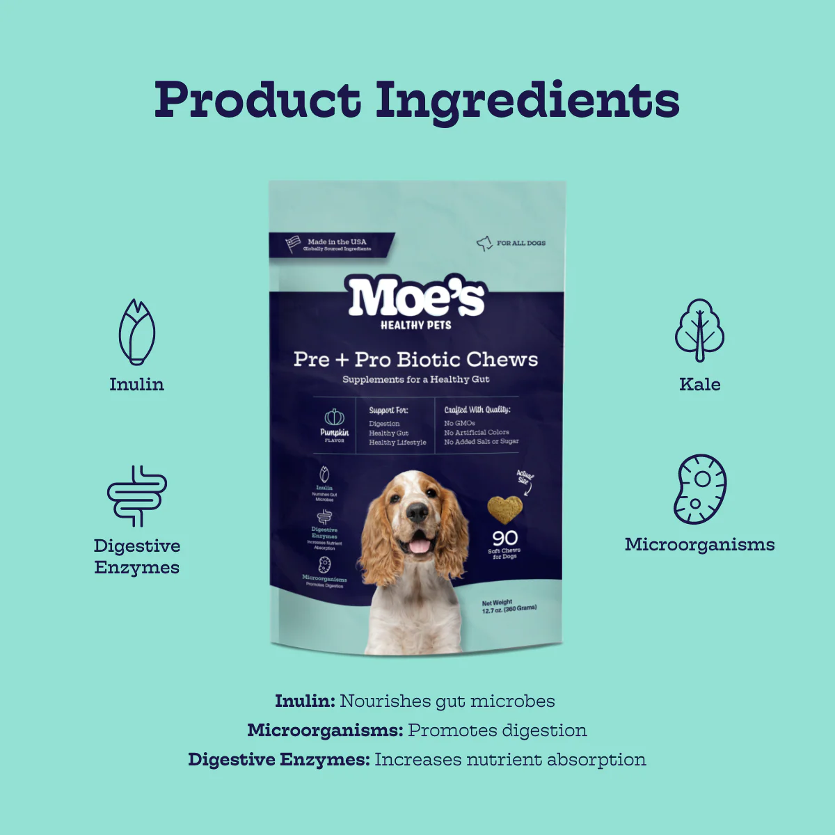 Pre + Pro Biotic Chews - Image 2