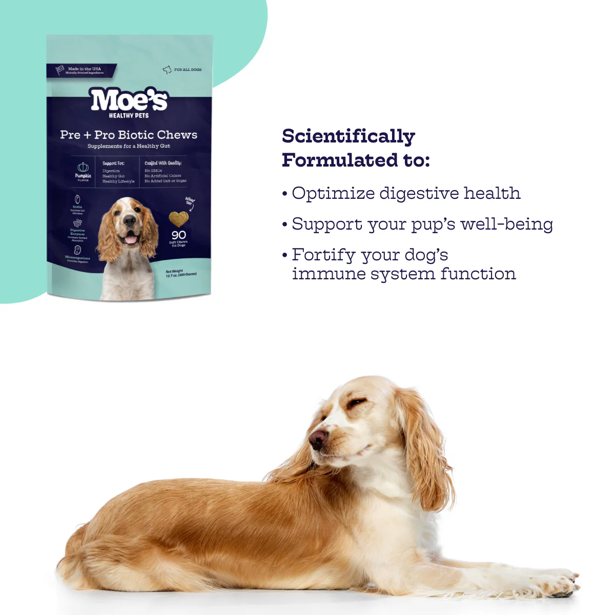 Pre + Pro Biotic Chews - Image 3