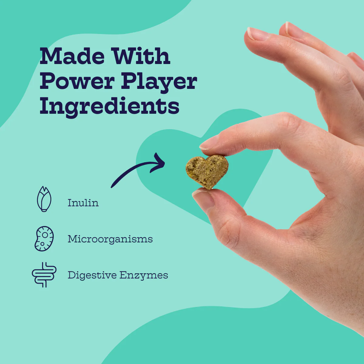 Pre + Pro Biotic Chews - Image 5