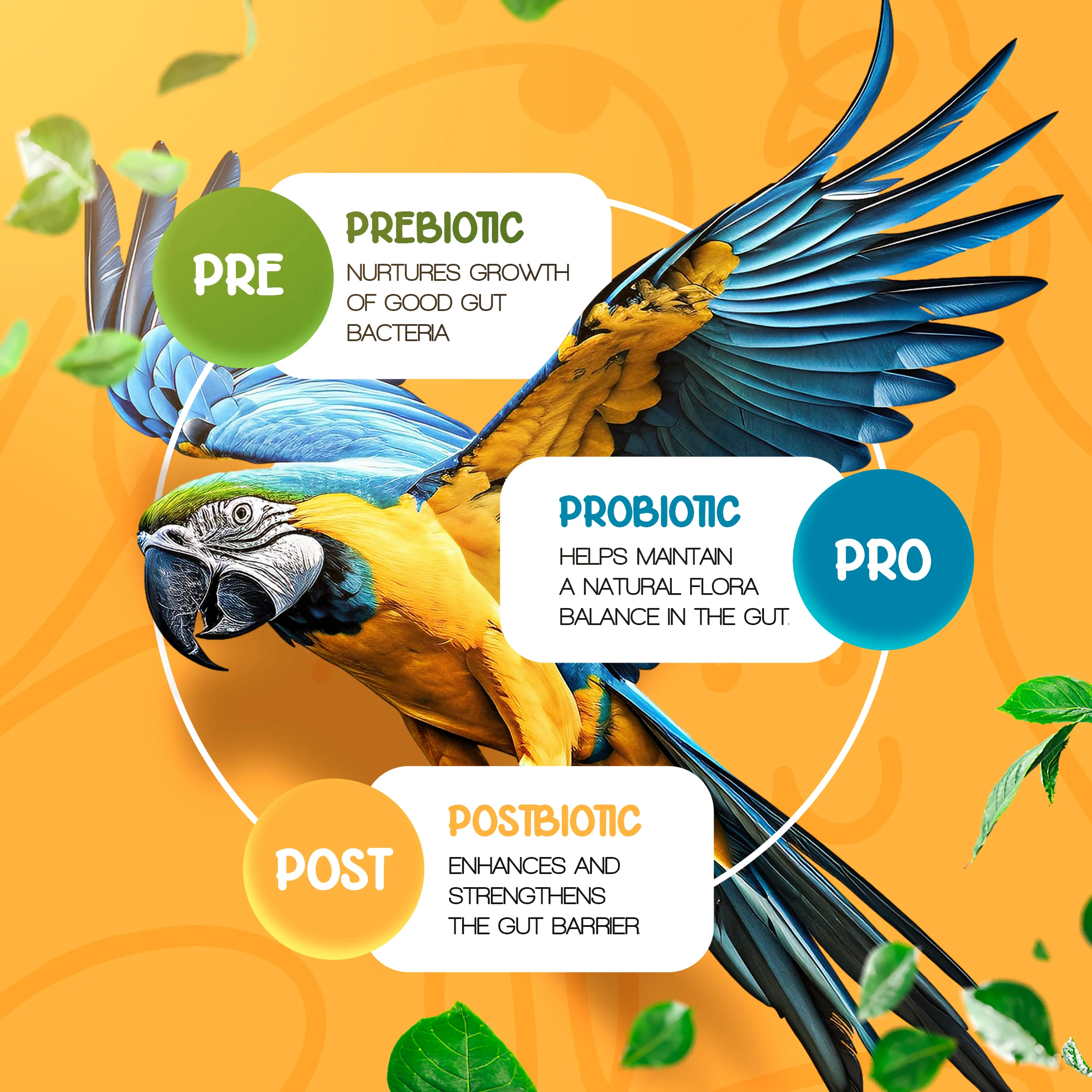 Pre+Pro+Post Biotics Blend for Parrots - 1.06oz - Image 2