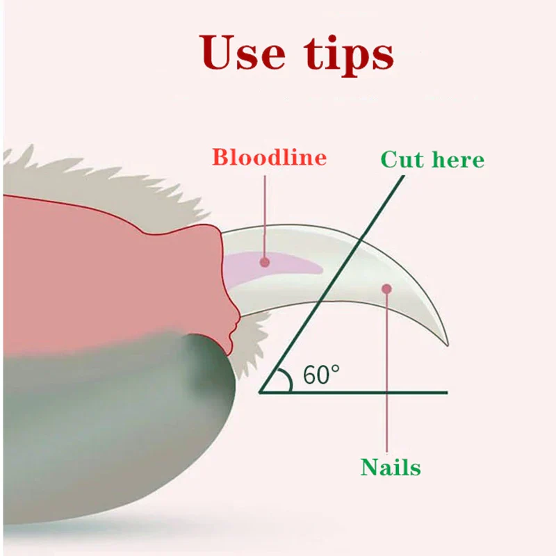 Precision Cat Nail Clipper with Safety Guard and LED Light - Image 5