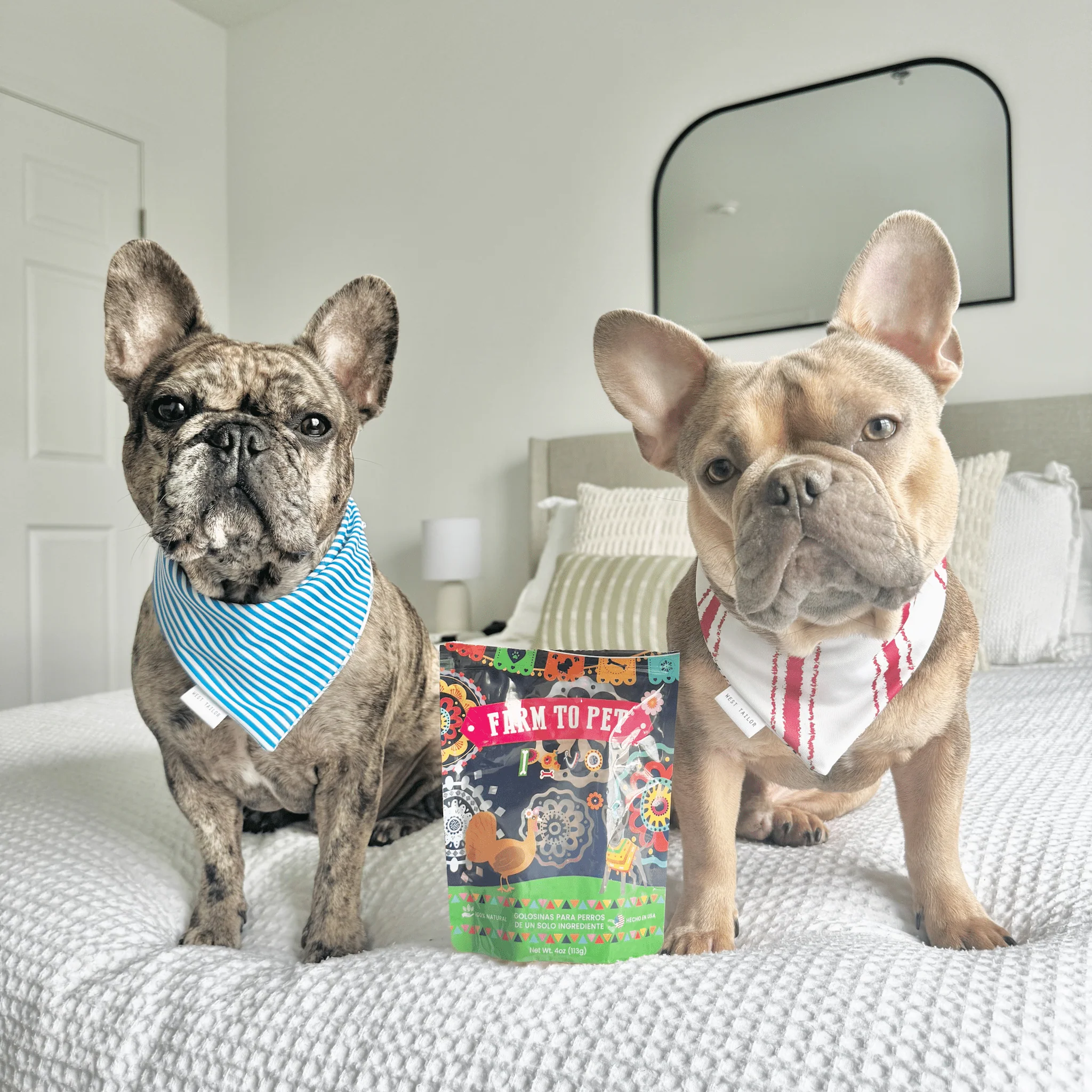 Premios Para Perros Fiesta Pack | Dog Treat Variety Bundle - Image 3