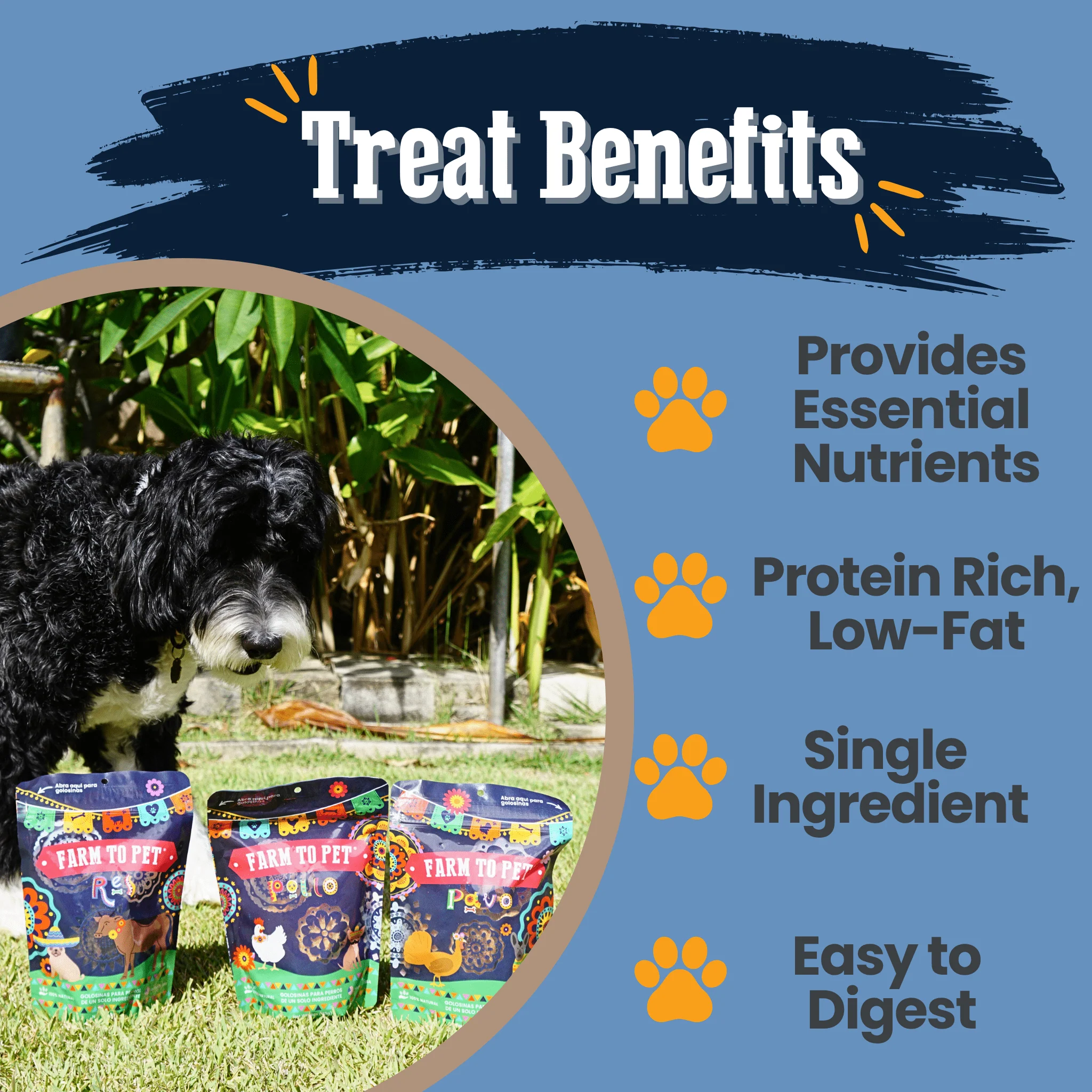 Premios Para Perros Fiesta Pack | Dog Treat Variety Bundle - Image 9