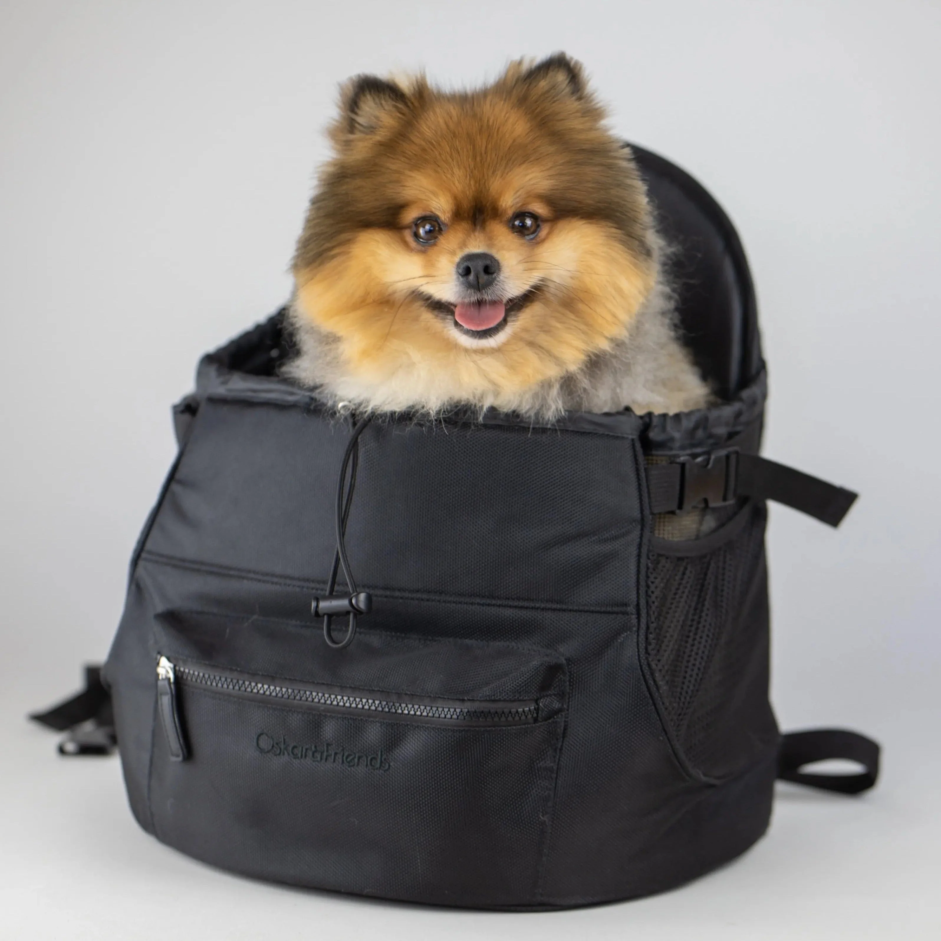 Premium All-Black Pet Backpack - Image 3