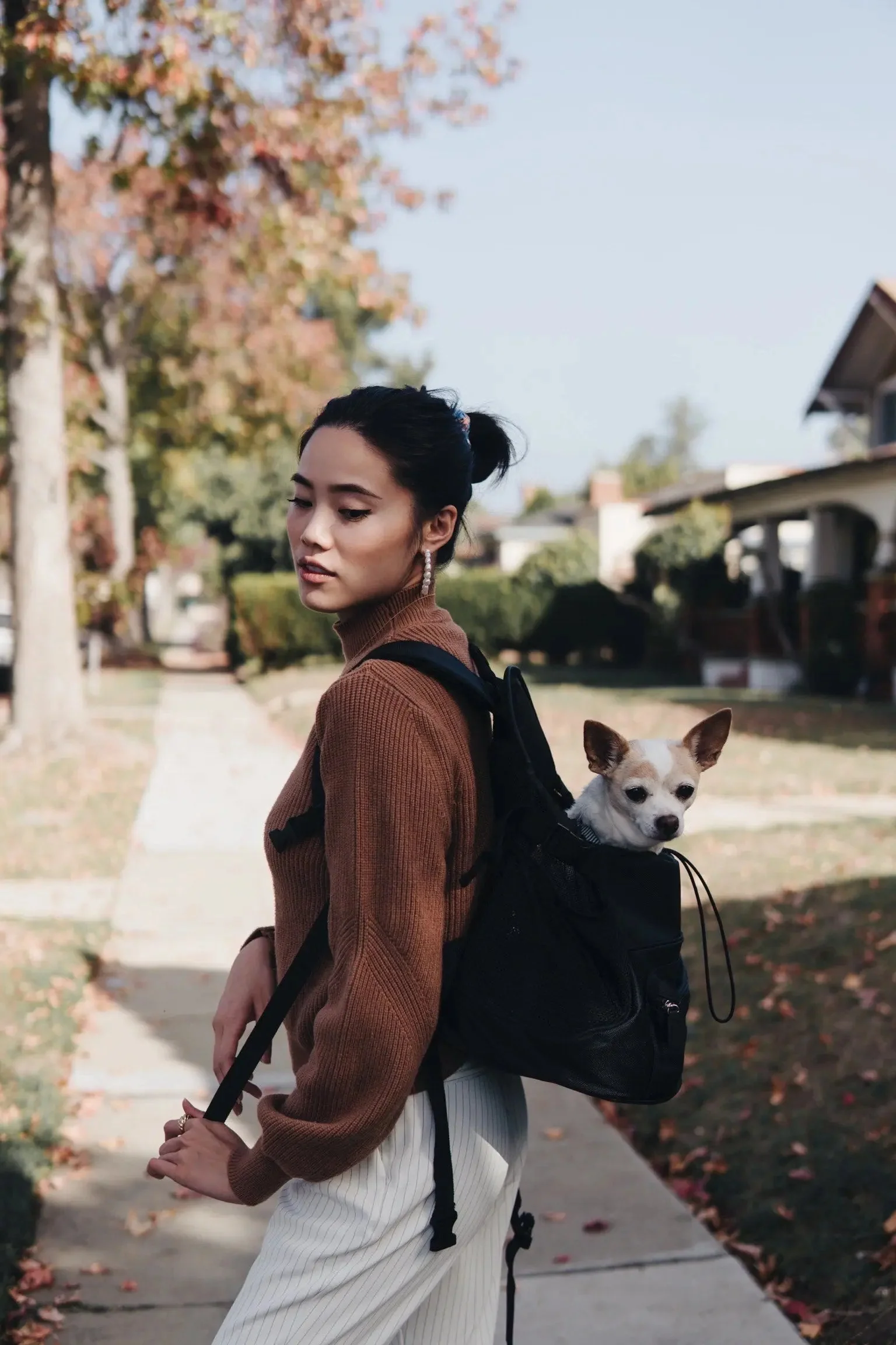 Premium All-Black Pet Backpack - Image 7