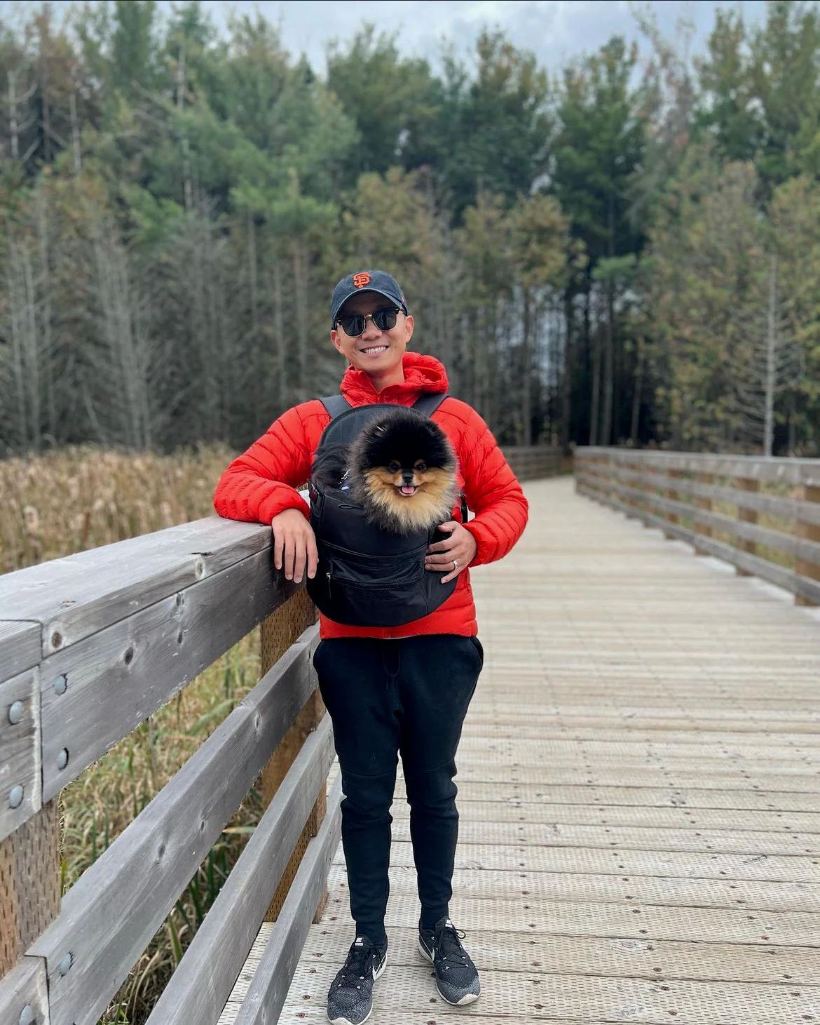 Premium All-Black Pet Backpack - Image 8