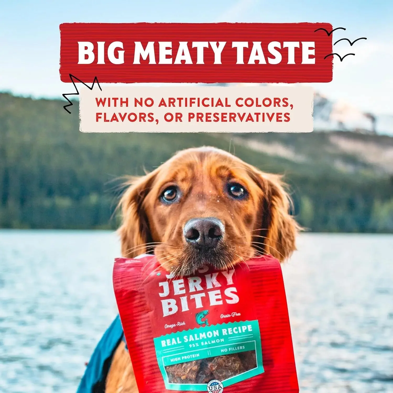 Premium Beef Jerky Dog Treats - 95% Real Meat Bites for Sensitive Stomachs - Image 6