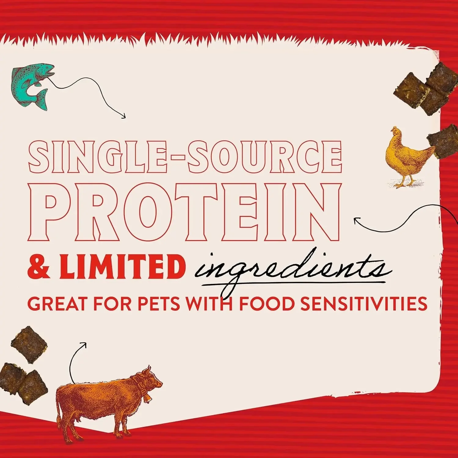 Premium Beef Jerky Dog Treats - 95% Real Meat Bites for Sensitive Stomachs - Image 7