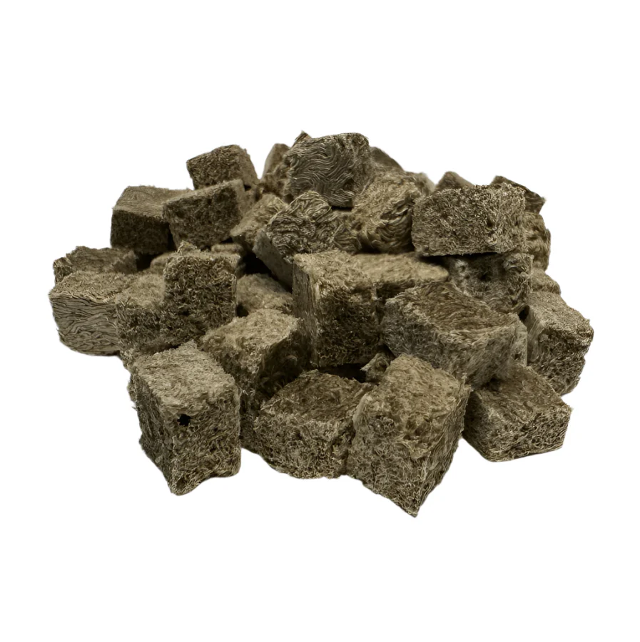 Premium Freeze Dried Blackworms - All Natural - Image 2