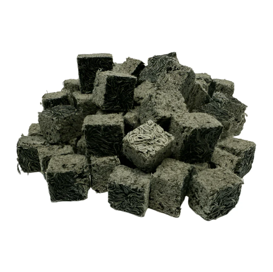 Premium Freeze Dried Blackworms - Spirulina Boost - Image 2