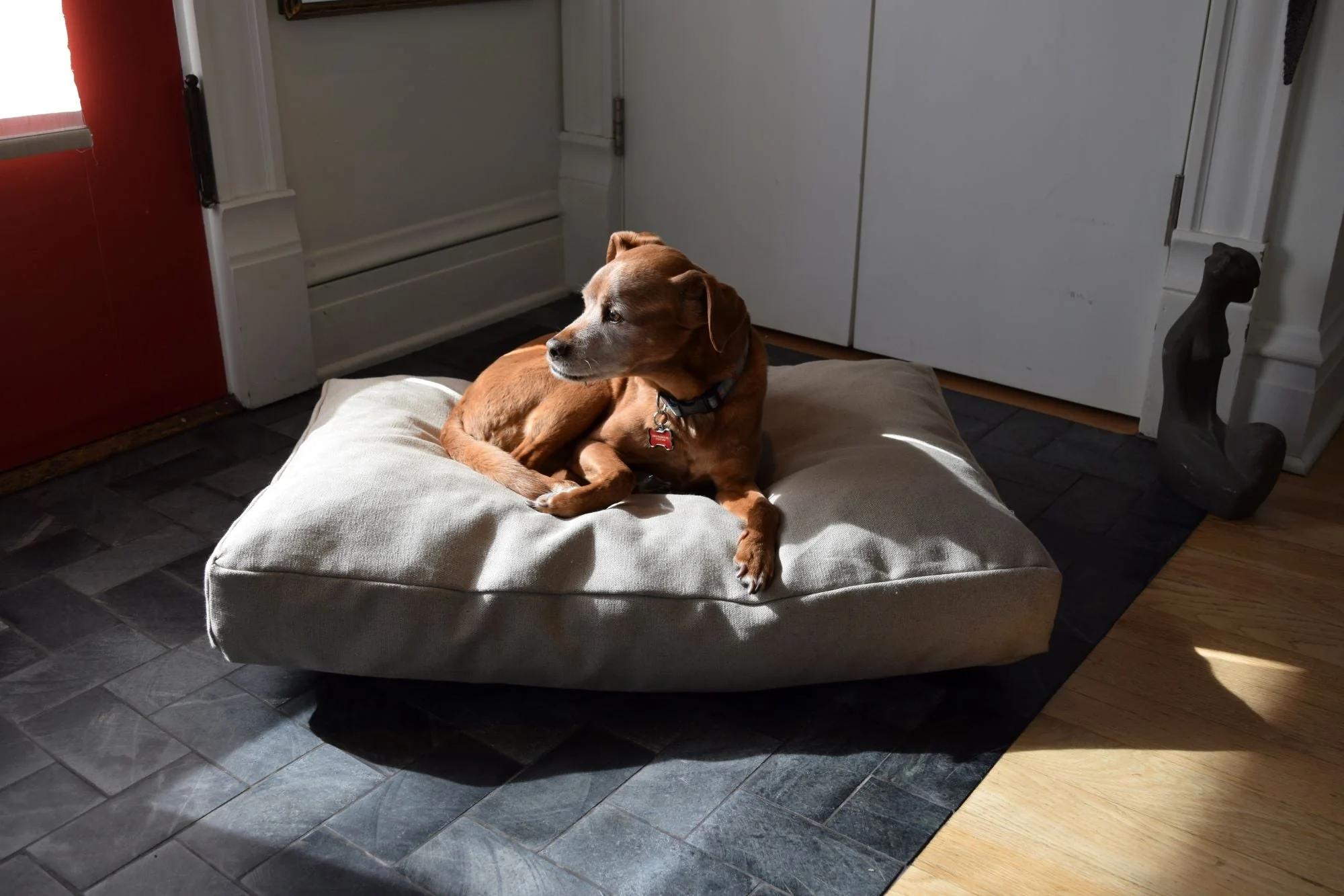 Premium Hemp Dog Bed - Lightweight CertiPUR Foam Fill - Image 2