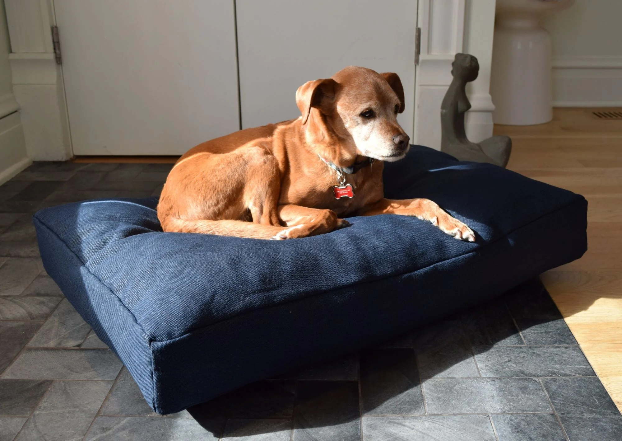 Premium Hemp Dog Bed - Lightweight CertiPUR Foam Fill - Image 3
