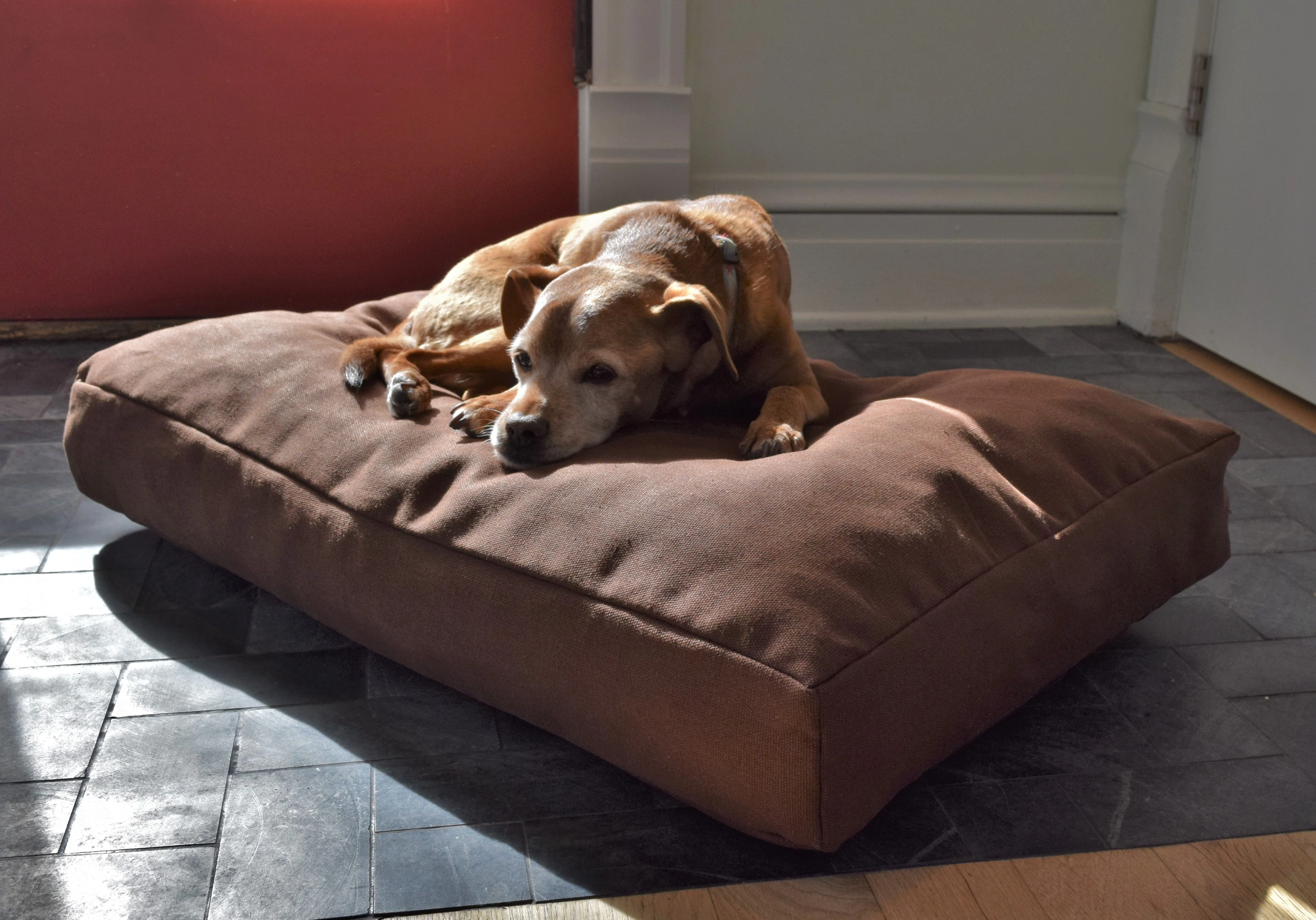 Premium Hemp Dog Bed - Lightweight CertiPUR Foam Fill - Image 6