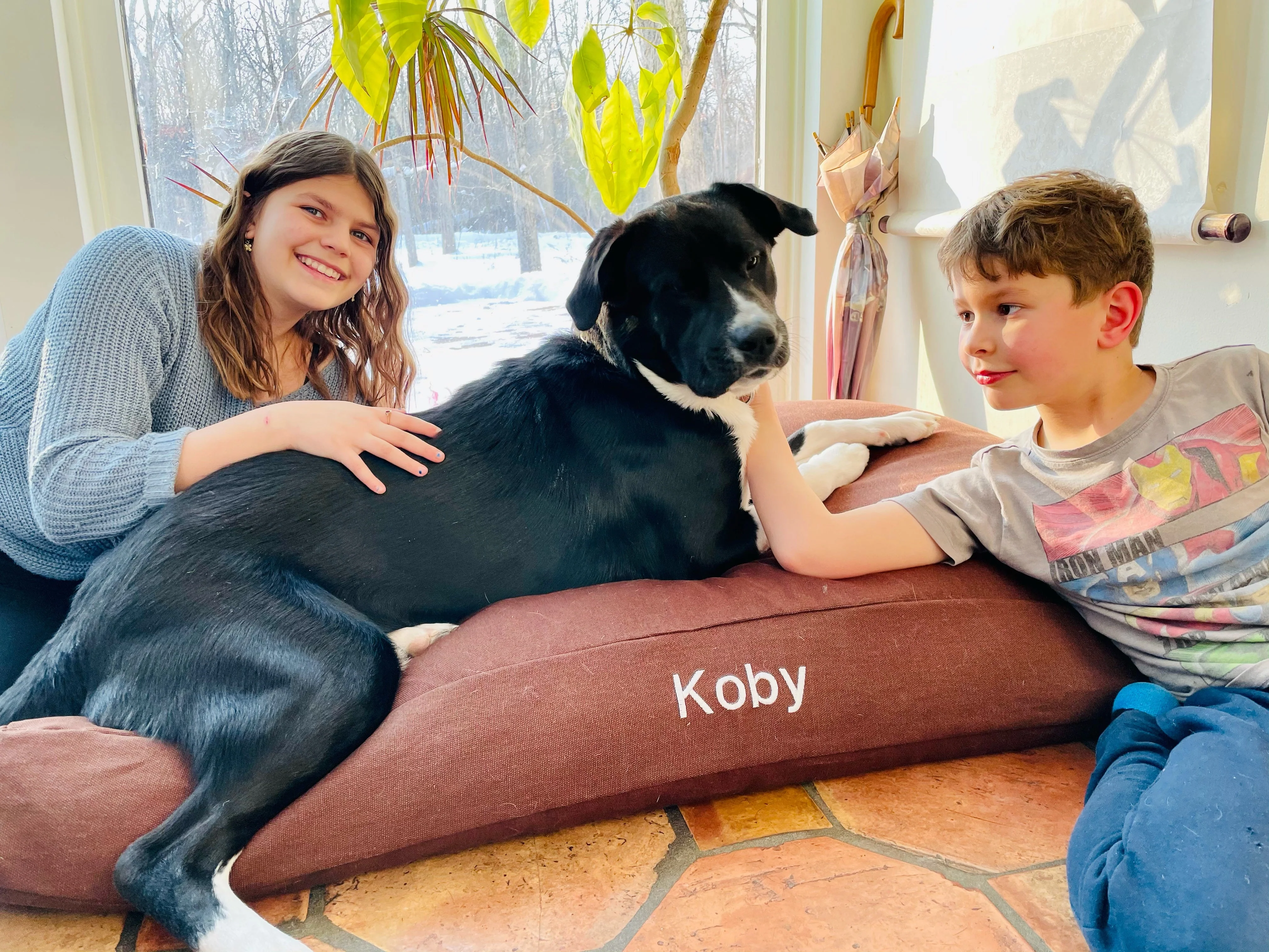 Premium Hemp Dog Bed - Lightweight CertiPUR Foam Fill - Image 8