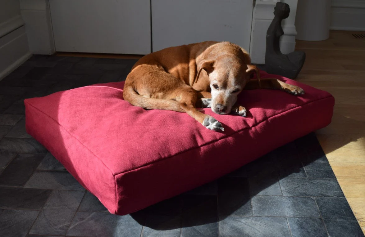Premium Hemp Dog Bed - Organic Latex Foam Fill - Image 4