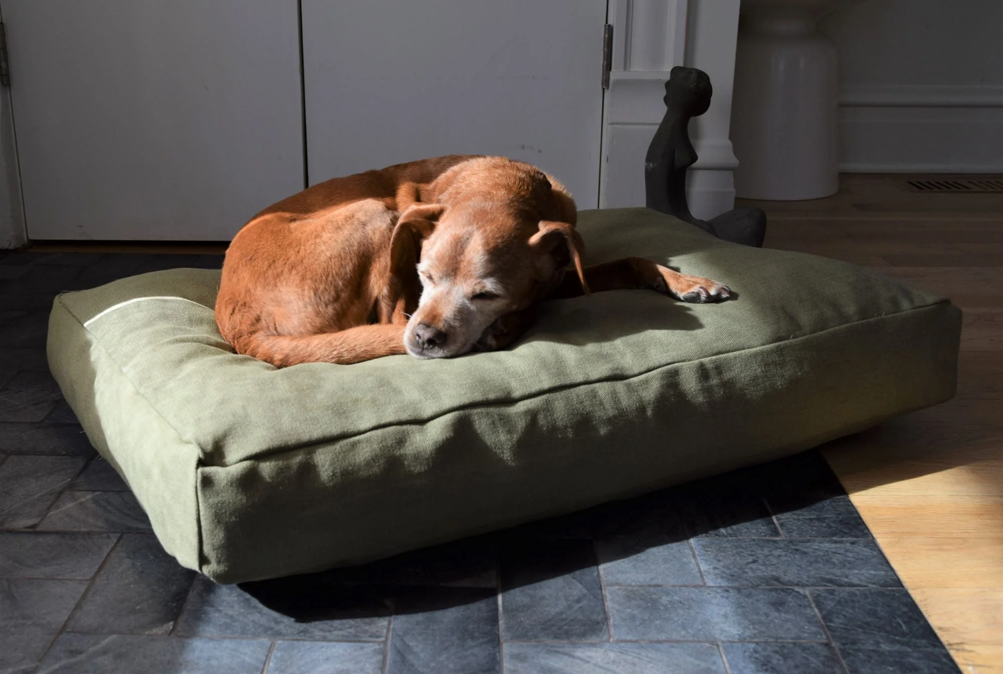Premium Hemp Dog Bed - Organic Latex Foam Fill - Image 5