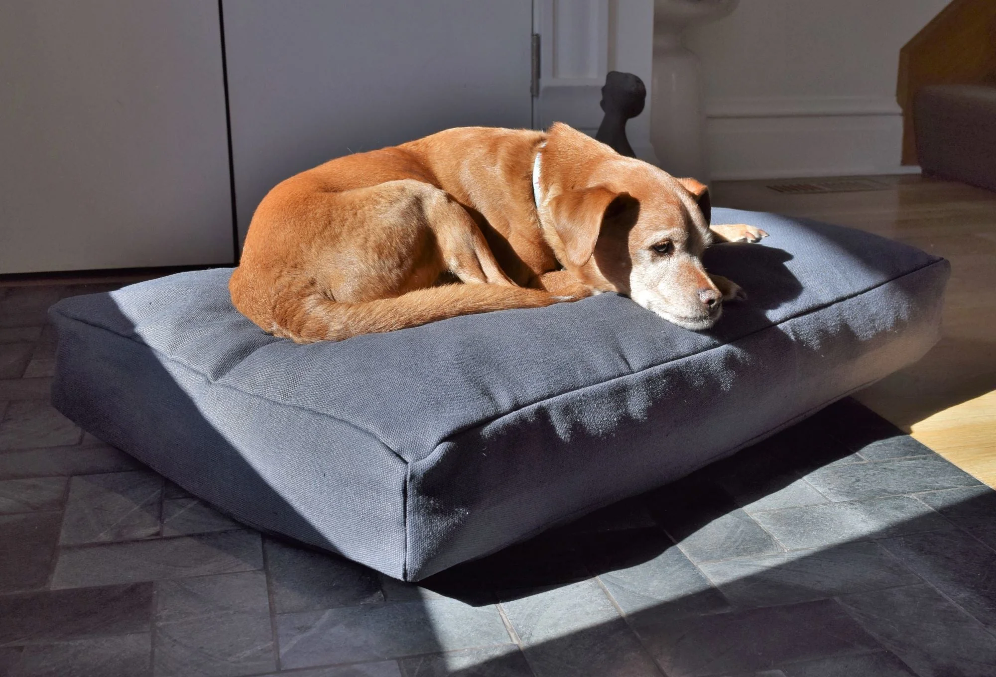 Premium Hemp Dog Bed - Organic Latex Foam Fill - Image 7
