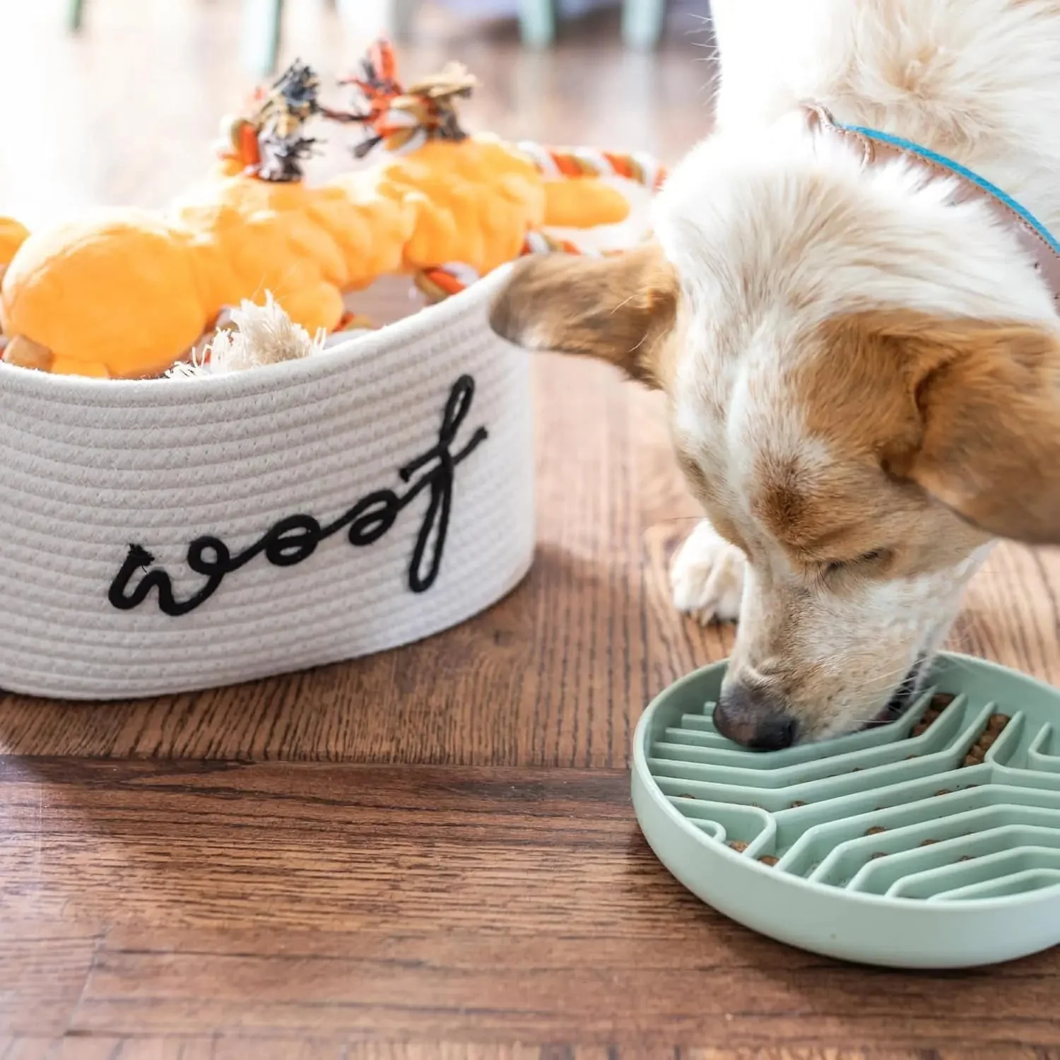 Premium New Puppy Gift Basket – Dog Starter Kit & Birthday Toy Set - Image 8