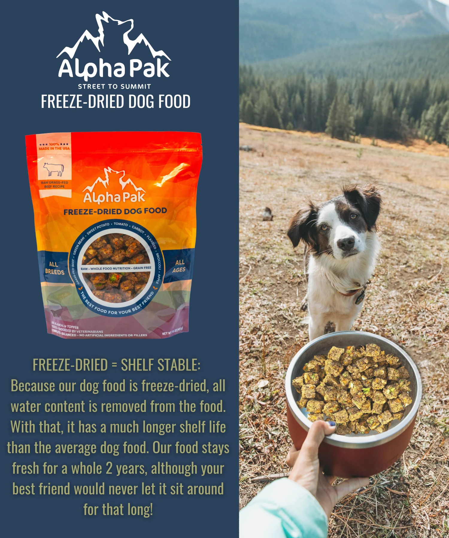 PREMIUM RAW FREEZE DRIED DOG FOOD BEEF - Image 8