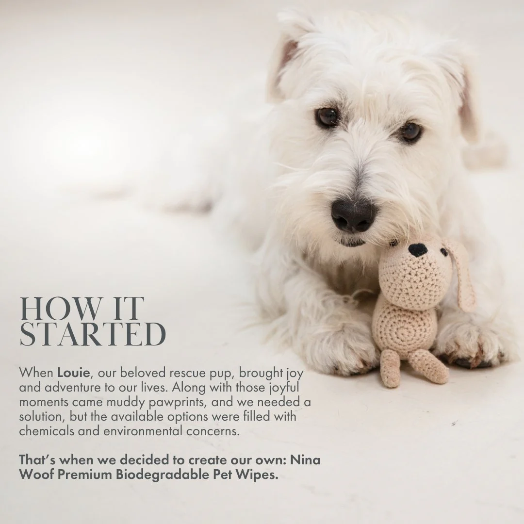 Premium Wipes - Biodegradable and Plant-Based - Image 3