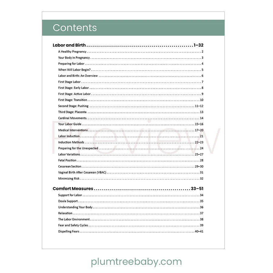Preparing for Birth Book - Image 2