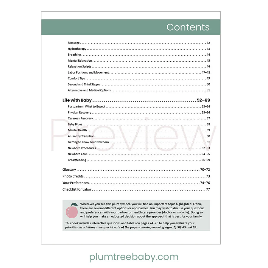 Preparing for Birth Book - Image 3