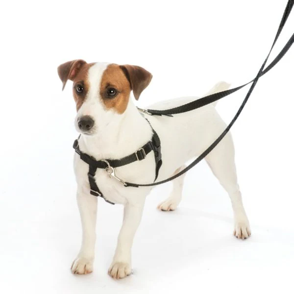 Presents Galore Freedom No-Pull Dog Harness – EarthStyle - Image 4