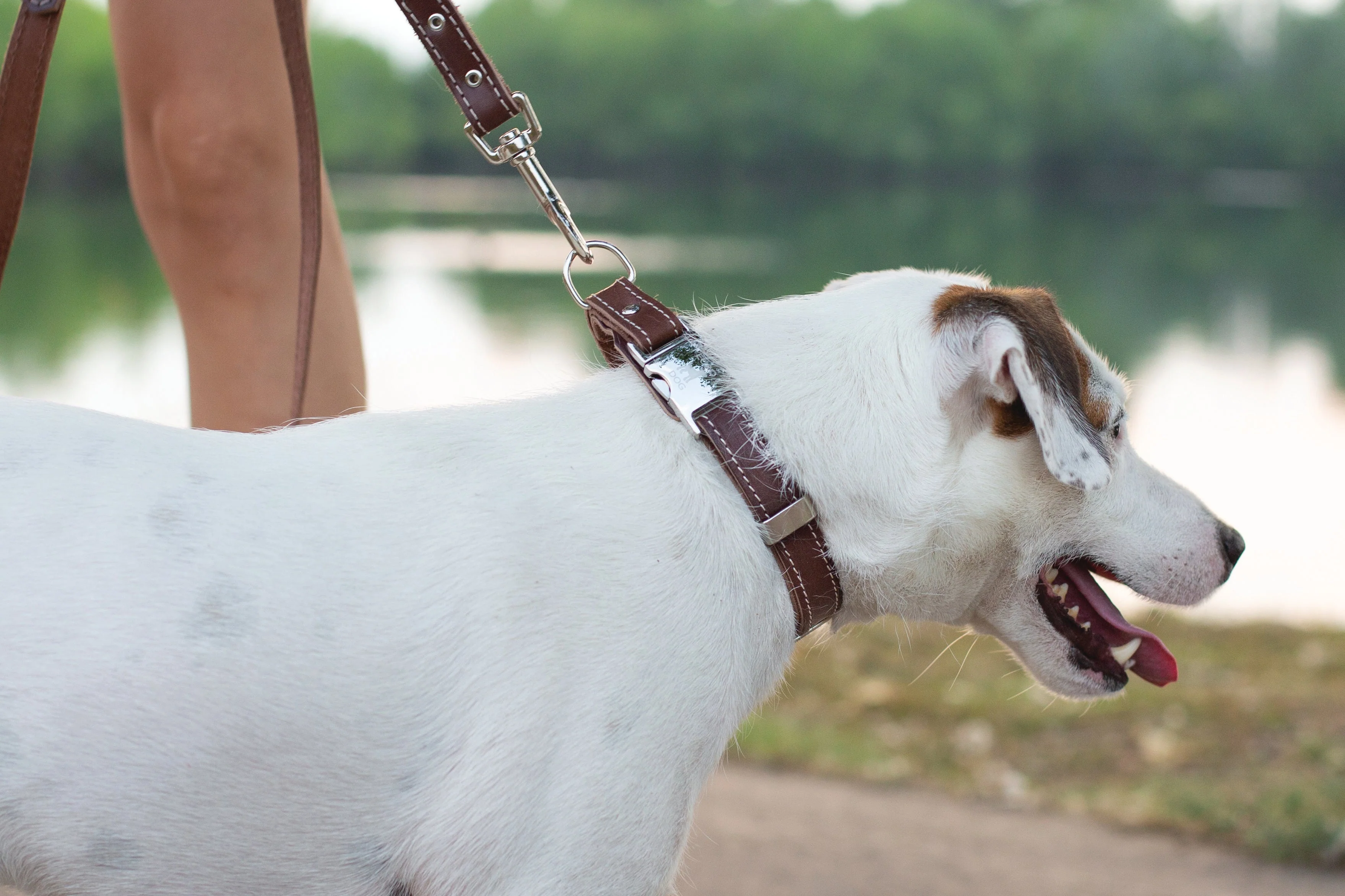 Pro Line Hunting Chocolate Leather Leash - Image 2