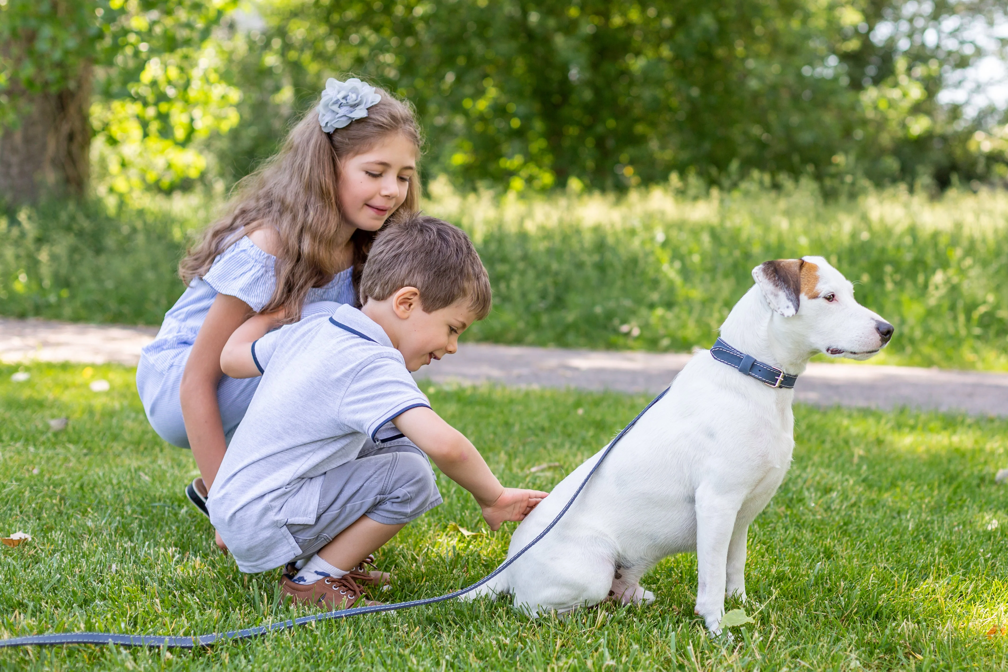 Pro Line Hunting Leather Collar and Leash Set - Image 9