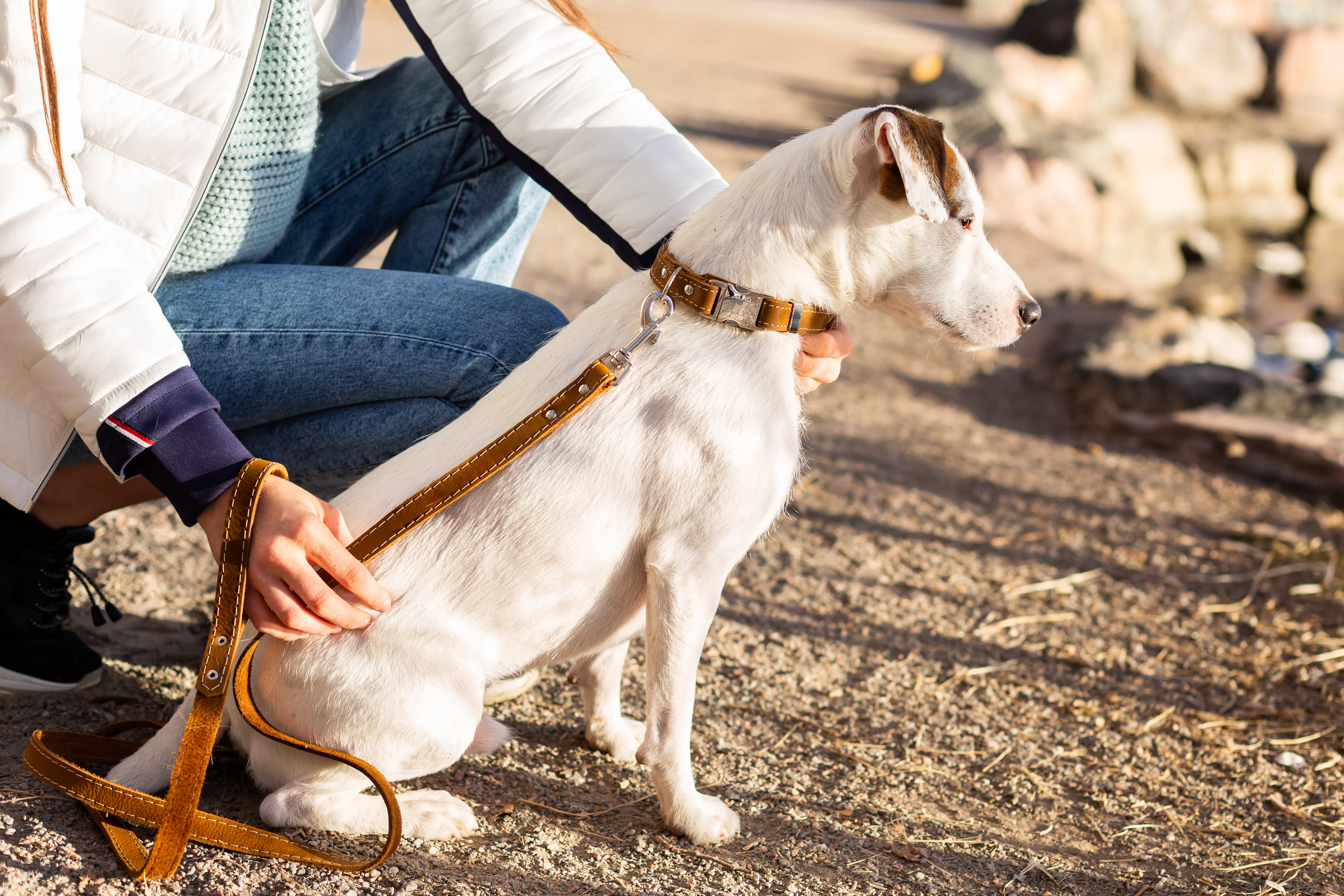 Pro Line Quick-Release Earth Brown Leather Dog Collar with Metal Buckle - Image 5