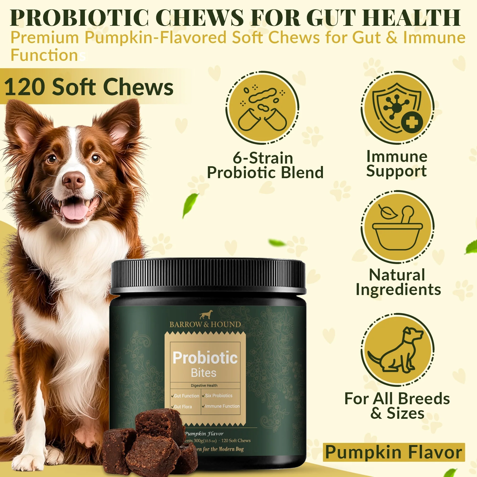 Probiotic Bites for Dogs – Gut Health & Digestive Support - Image 3