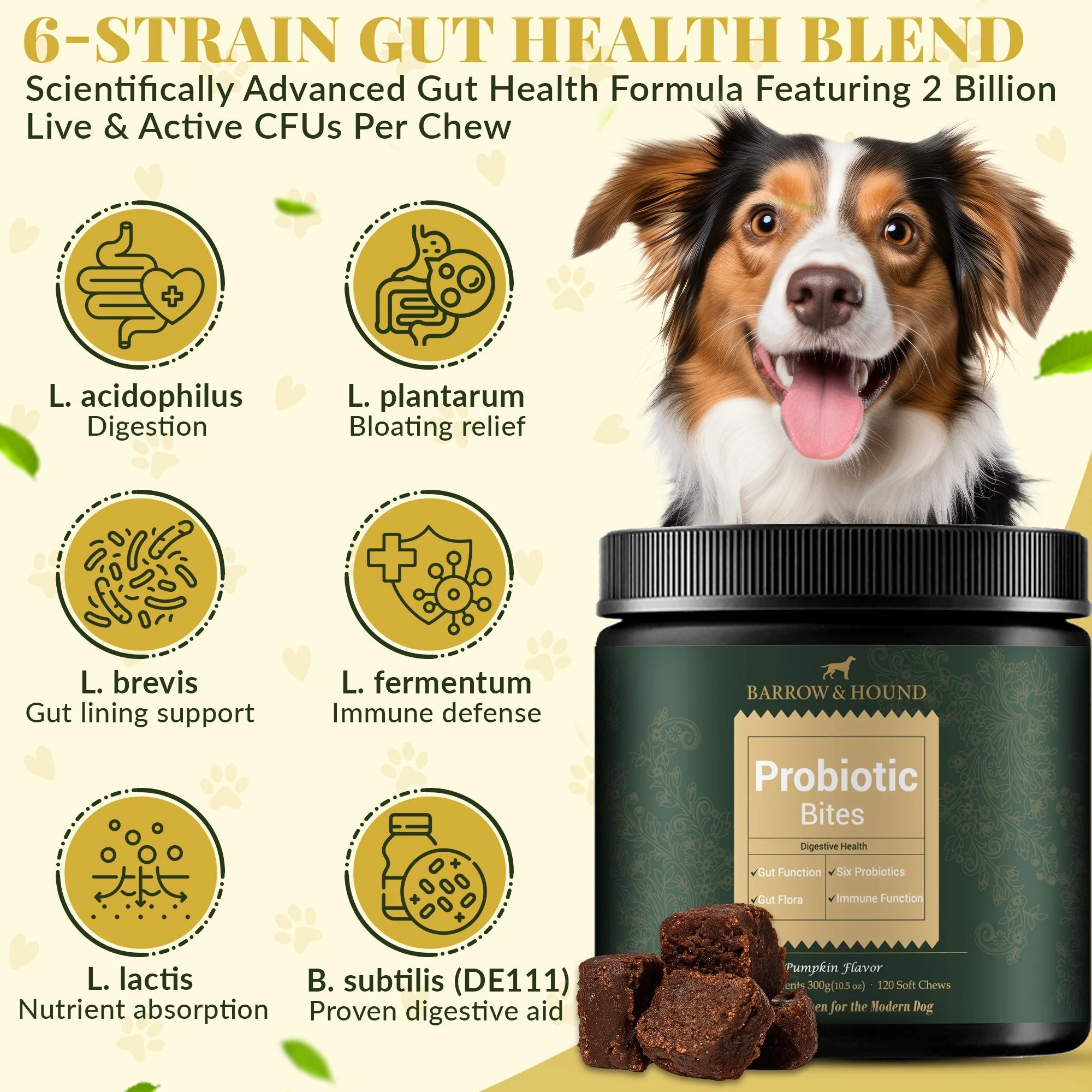 Probiotic Bites for Dogs – Gut Health & Digestive Support - Image 4