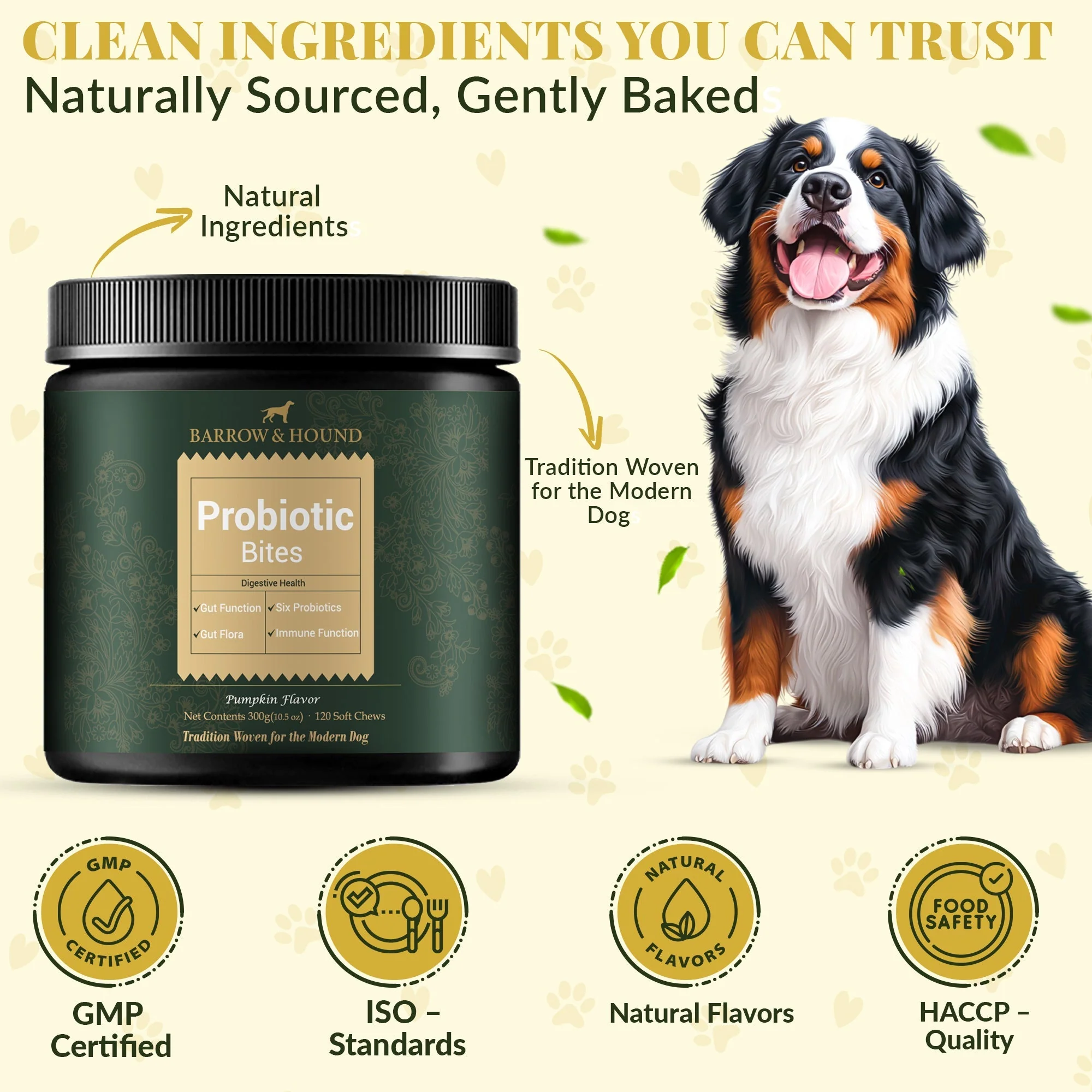 Probiotic Bites for Dogs – Gut Health & Digestive Support - Image 6