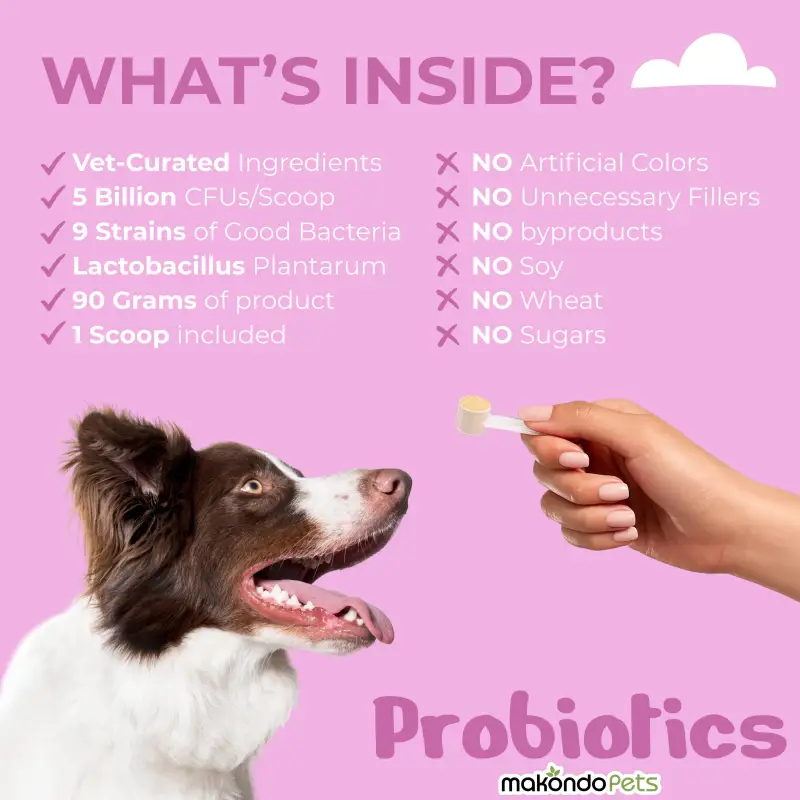 Probiotics for Dogs and Puppies. 90 Scoops - Image 4