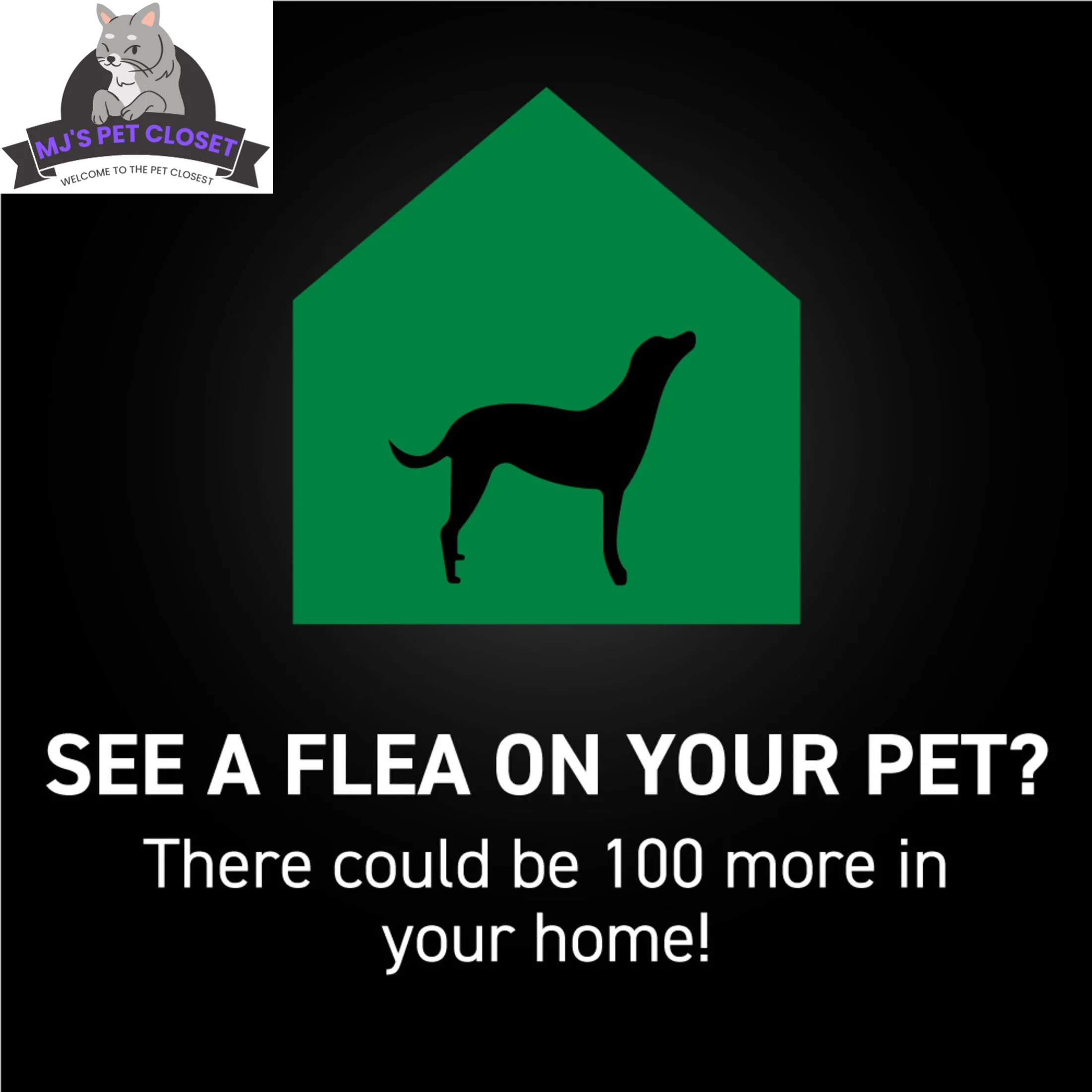 Protect Your Dog from Fleas & Ticks with NEXTSTAR: Fast-Acting 3-Month Supply for Dogs 45-88 Lbs - Image 9