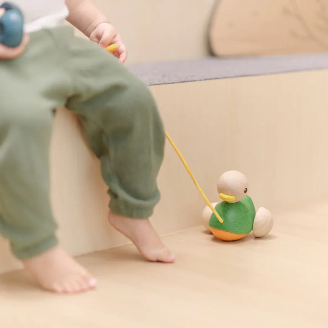 Pull-Along Duck - Image 3