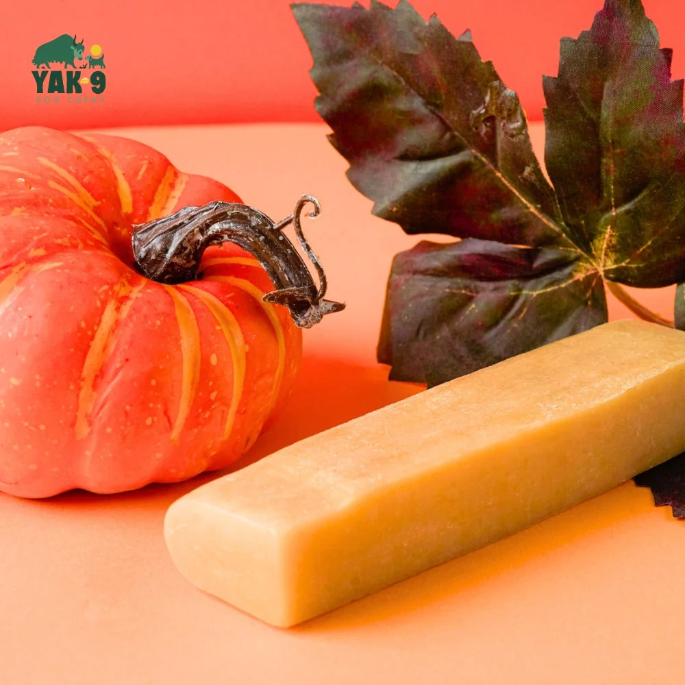 Pumpkin Cheese Chews for Dogs - Image 3