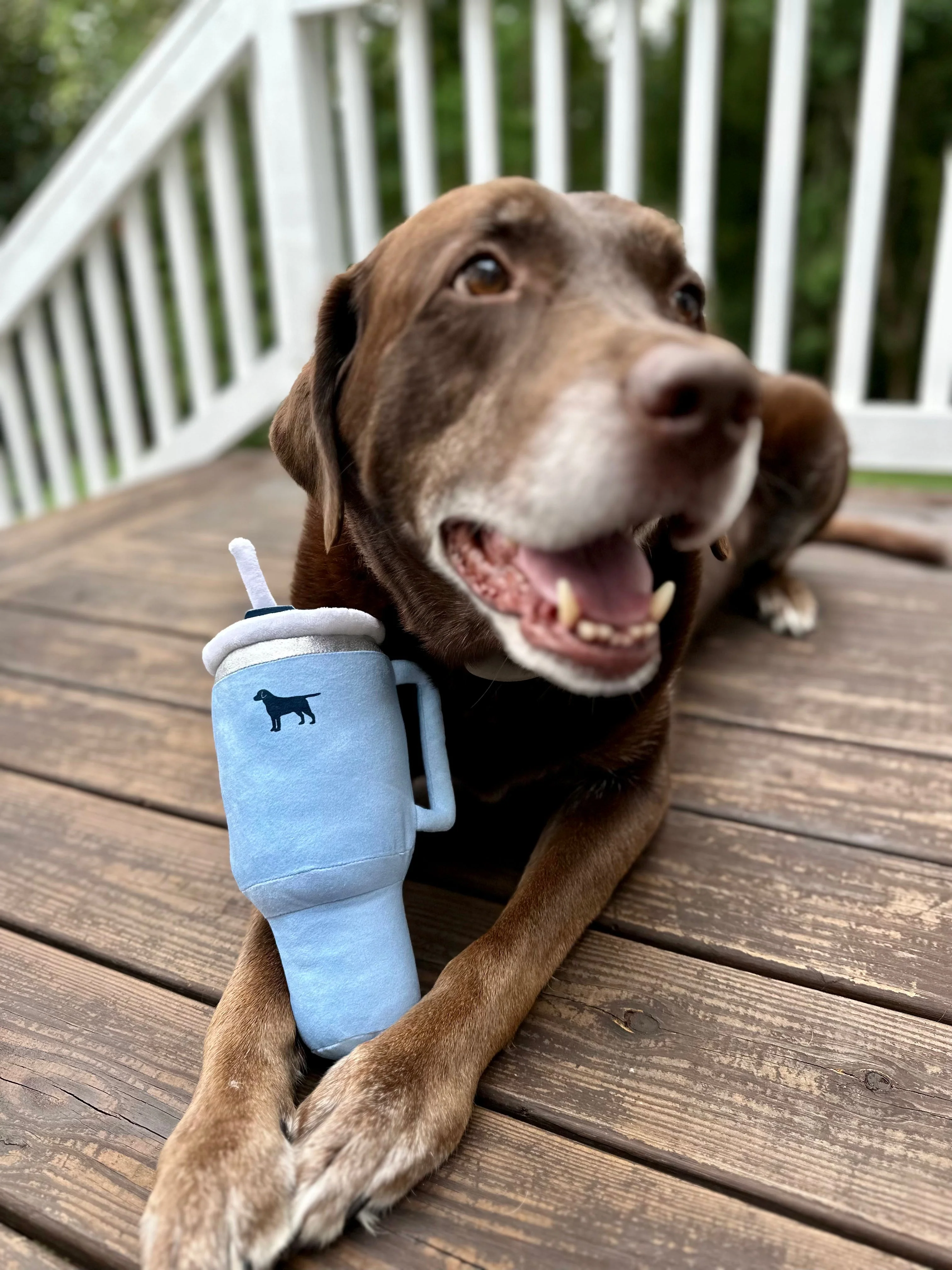 Pup Cup Tumbler Plush Squeaky Dog Toy- Ideal Birthday Dog Toy Gift - Image 7