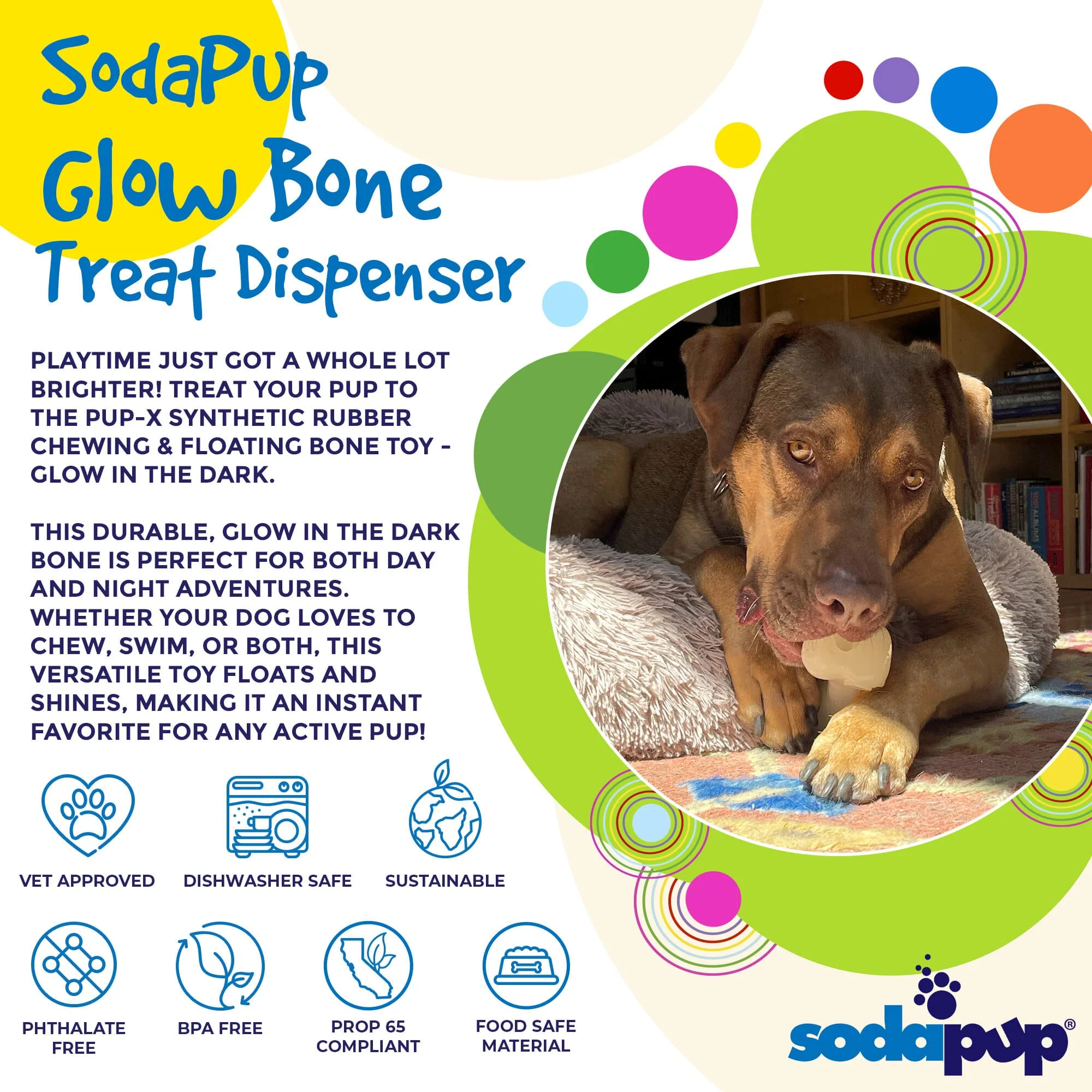 PUP-X Rubber Bone Dog Toy - Durable, Floats, Chew Toy for Large Dogs | USA - Image 5