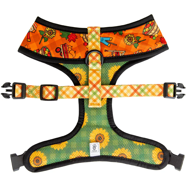 Pupkin Patch Reversible Harness - Image 8