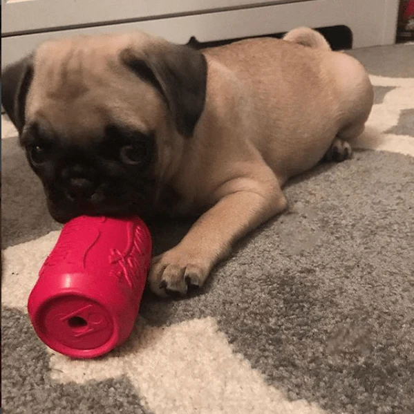 Puppy Can Toy Rubber Chew Toy for Teething Puppies | Treat Dispenser | USA Made - Image 7
