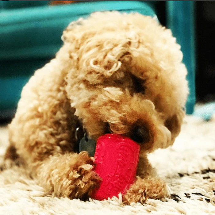 Puppy Can Toy Rubber Chew Toy for Teething Puppies | Treat Dispenser | USA Made - Image 9