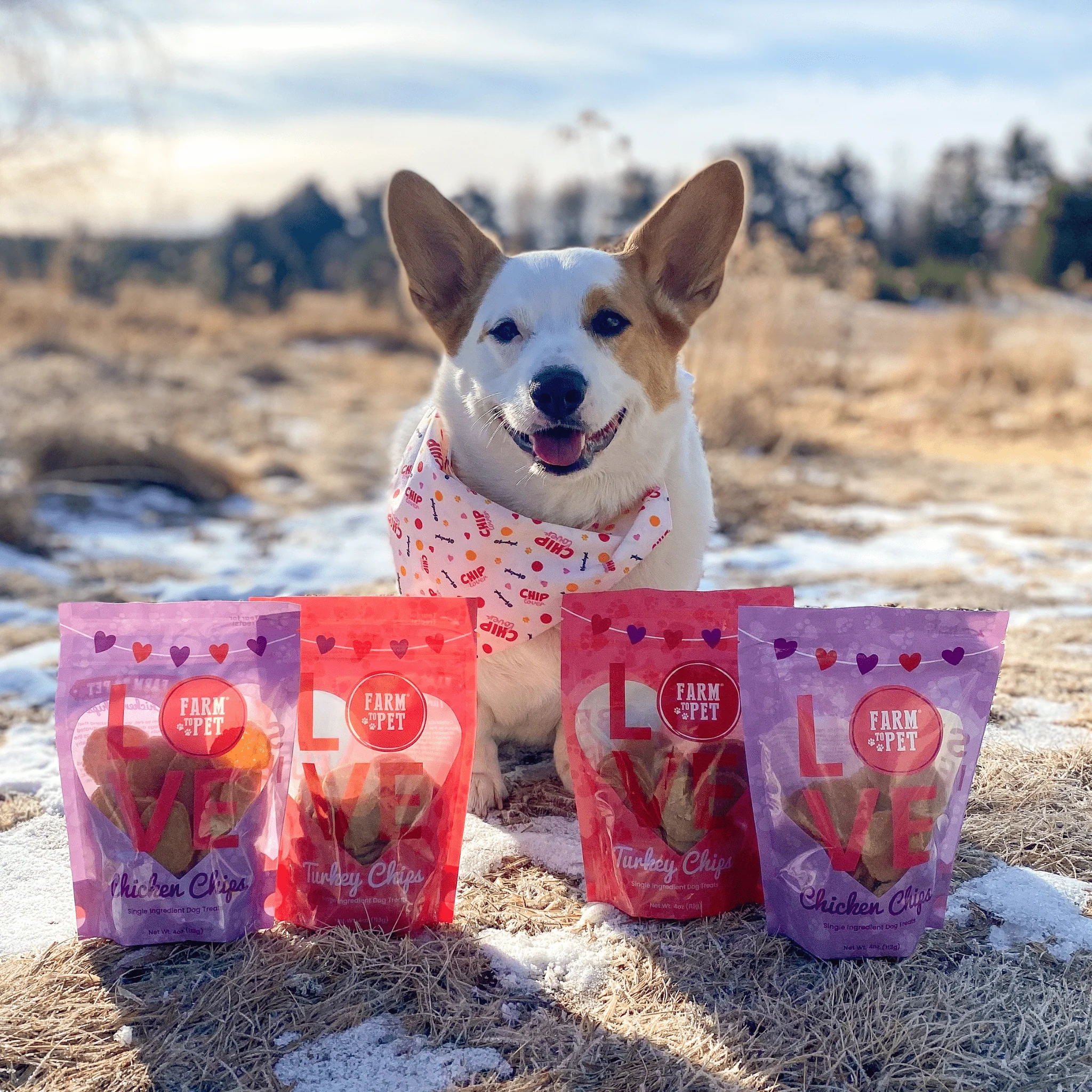 Puppy Love Dog Treat Duo | Poultry Chip Variety Pack - Image 10