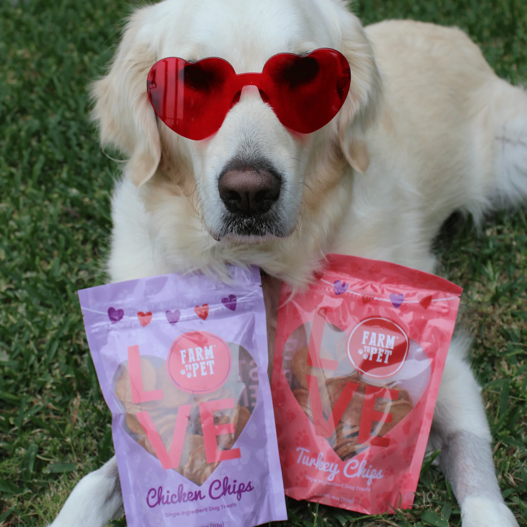 Puppy Love Dog Treat Duo | Poultry Chip Variety Pack - Image 11